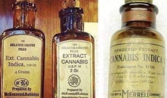 A History of Cannabis, Cannabinoids, & Their Healing Properties
