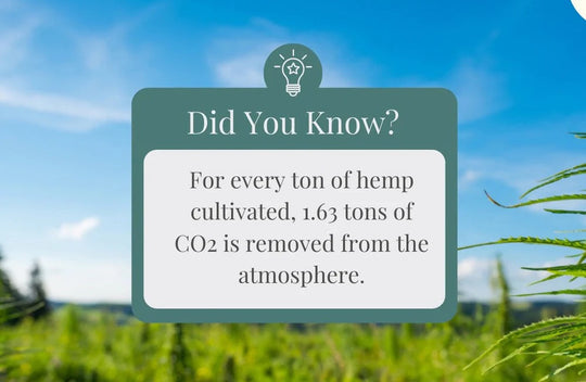 Hemp & Regenerative Agriculture - A Novel Approach to Sequestering Carbon