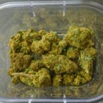 Is weed legal in London? Learn about its legality, trends, benefits, and why it matters. Comprehensive guide included.